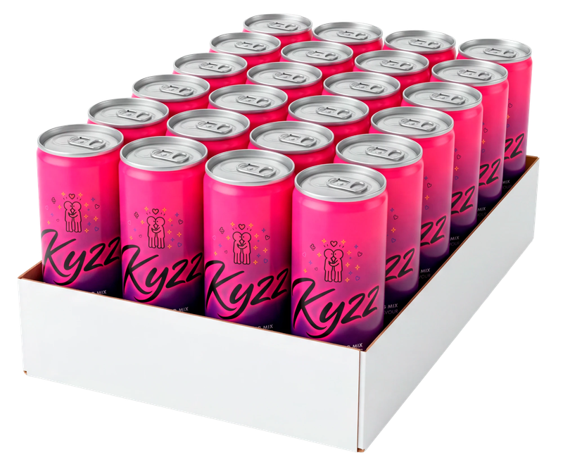 Kyzz multipack — 24 × 250 ml tray